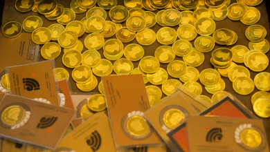 آیا سکه پارسیان برای سرمایه گذاری مناسب است؟