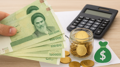 سرمایه‌گذاری با ۱۰۰ میلیون تومان